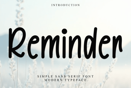 Reminder Font